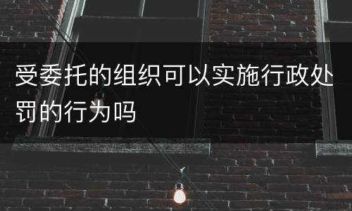 受委托的组织可以实施行政处罚的行为吗