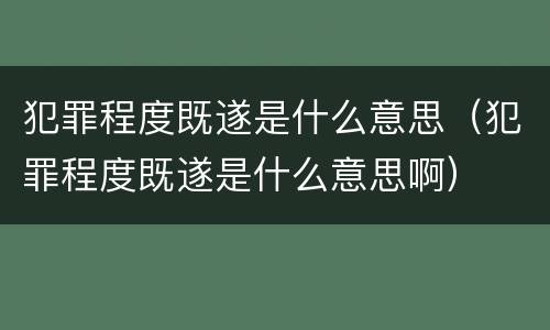 犯罪程度既遂是什么意思（犯罪程度既遂是什么意思啊）