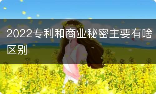 2022专利和商业秘密主要有啥区别