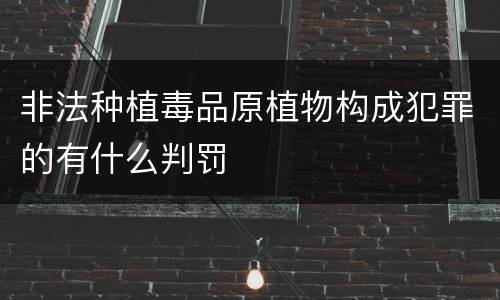 非法种植毒品原植物构成犯罪的有什么判罚