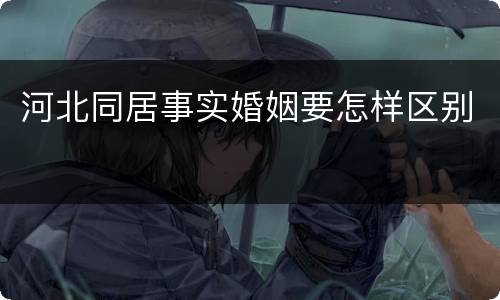 河北同居事实婚姻要怎样区别
