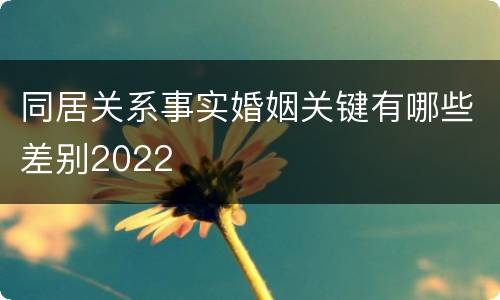 同居关系事实婚姻关键有哪些差别2022