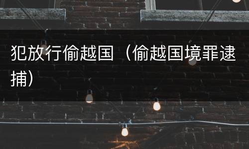 犯放行偷越国（偷越国境罪逮捕）