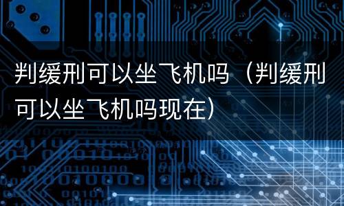 判缓刑可以坐飞机吗（判缓刑可以坐飞机吗现在）