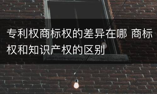 专利权商标权的差异在哪 商标权和知识产权的区别