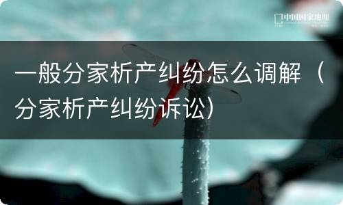一般分家析产纠纷怎么调解（分家析产纠纷诉讼）