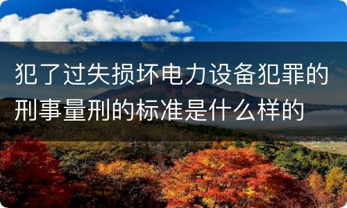 犯了过失损坏电力设备犯罪的刑事量刑的标准是什么样的