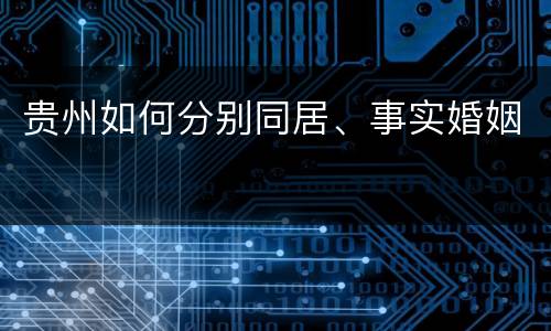 贵州如何分别同居、事实婚姻