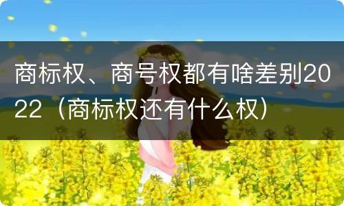 商标权、商号权都有啥差别2022（商标权还有什么权）