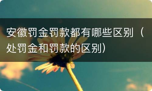 安徽罚金罚款都有哪些区别（处罚金和罚款的区别）