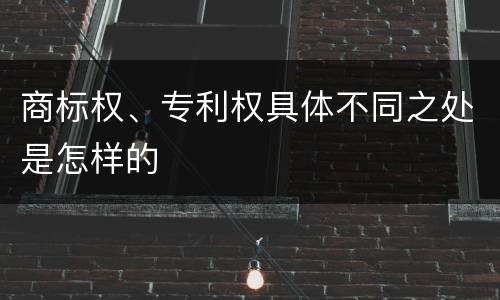 商标权、专利权具体不同之处是怎样的