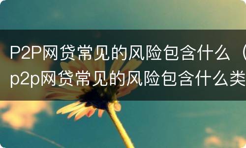 P2P网贷常见的风险包含什么（p2p网贷常见的风险包含什么类型）