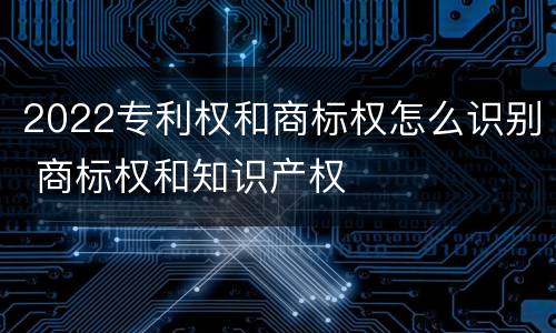 2022专利权和商标权怎么识别 商标权和知识产权