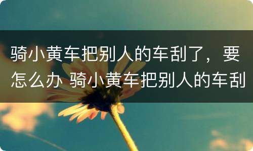 骑小黄车把别人的车刮了，要怎么办 骑小黄车把别人的车刮了,要怎么办呢