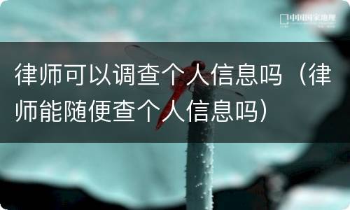 律师可以调查个人信息吗（律师能随便查个人信息吗）