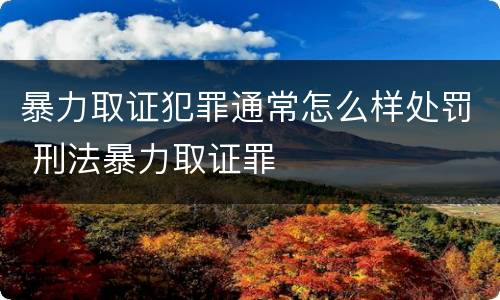 暴力取证犯罪通常怎么样处罚 刑法暴力取证罪