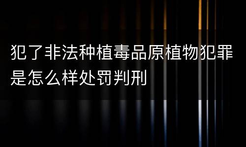 犯了非法种植毒品原植物犯罪是怎么样处罚判刑