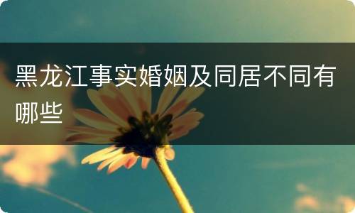 黑龙江事实婚姻及同居不同有哪些