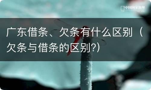 广东借条、欠条有什么区别（欠条与借条的区别?）