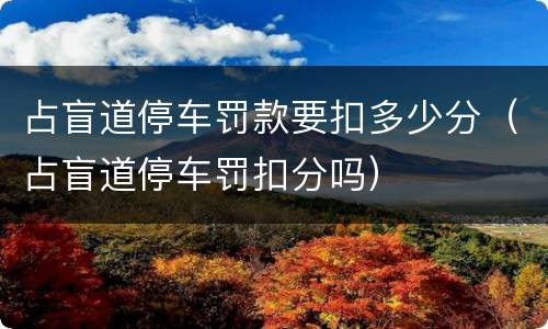 占盲道停车罚款要扣多少分（占盲道停车罚扣分吗）