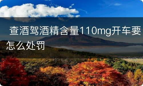  查酒驾酒精含量110mg开车要怎么处罚