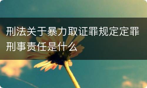 刑法关于暴力取证罪规定定罪刑事责任是什么