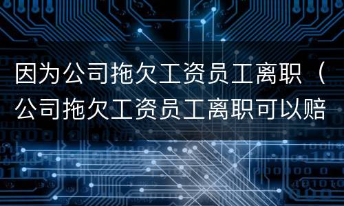 因为公司拖欠工资员工离职（公司拖欠工资员工离职可以赔偿吗）