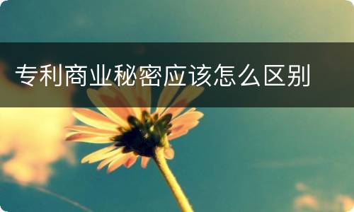 专利商业秘密应该怎么区别