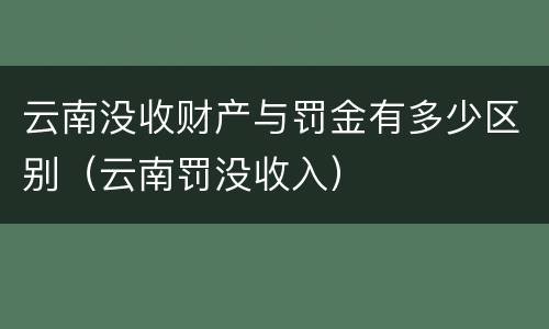云南没收财产与罚金有多少区别（云南罚没收入）