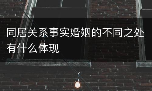 同居关系事实婚姻的不同之处有什么体现