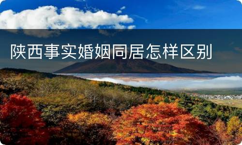 陕西事实婚姻同居怎样区别
