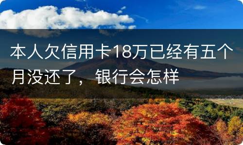 本人欠信用卡18万已经有五个月没还了，银行会怎样