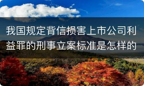 我国规定背信损害上市公司利益罪的刑事立案标准是怎样的