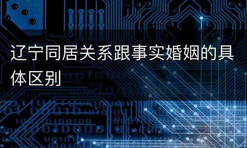 辽宁同居关系跟事实婚姻的具体区别