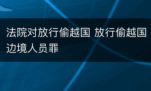 法院对放行偷越国 放行偷越国边境人员罪
