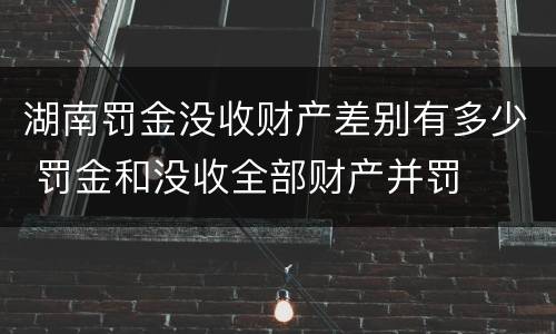 湖南罚金没收财产差别有多少 罚金和没收全部财产并罚