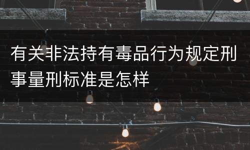 有关非法持有毒品行为规定刑事量刑标准是怎样