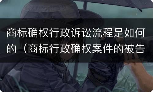 商标确权行政诉讼流程是如何的（商标行政确权案件的被告）
