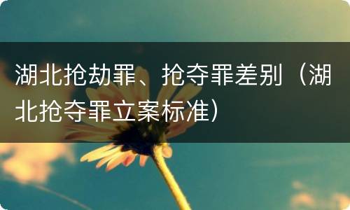 湖北抢劫罪、抢夺罪差别（湖北抢夺罪立案标准）