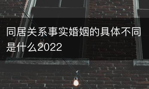 同居关系事实婚姻的具体不同是什么2022