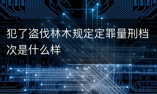 犯了盗伐林木规定定罪量刑档次是什么样