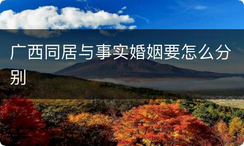 广西同居与事实婚姻要怎么分别