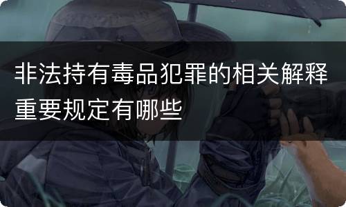非法持有毒品犯罪的相关解释重要规定有哪些