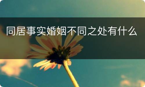 同居事实婚姻不同之处有什么