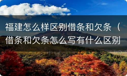 福建怎么样区别借条和欠条（借条和欠条怎么写有什么区别）