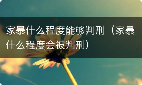 家暴什么程度能够判刑（家暴什么程度会被判刑）