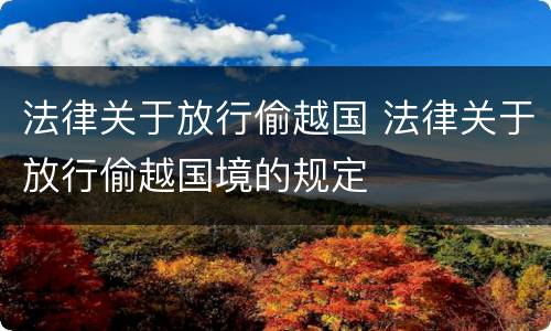 法律关于放行偷越国 法律关于放行偷越国境的规定