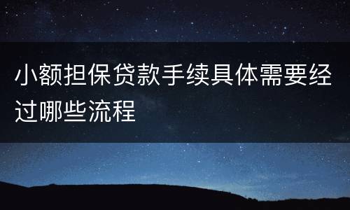 小额担保贷款手续具体需要经过哪些流程