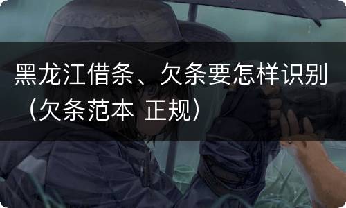 黑龙江借条、欠条要怎样识别（欠条范本 正规）