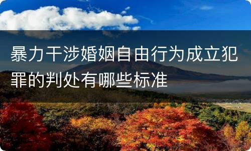 暴力干涉婚姻自由行为成立犯罪的判处有哪些标准
